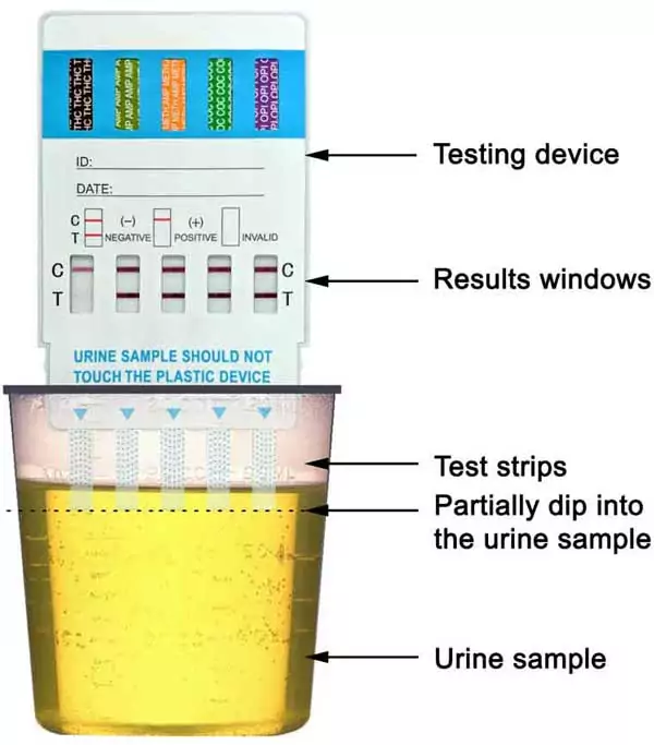 What are the benefits of 5 panel drug tests? Low cost, and quick results.