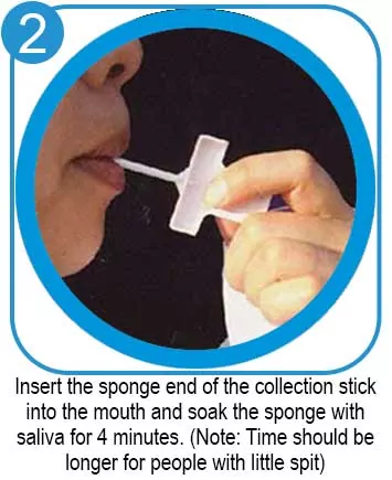 10 Panel Oral Drug Test Kit 